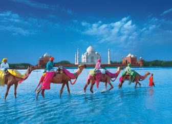 Camels out front of Taj Mahal India