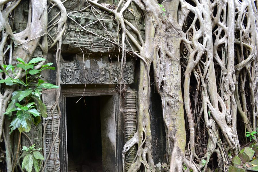 Ta Prohm