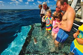 coral expeditions